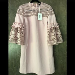 Blush pink Ted Baker dress, brand new